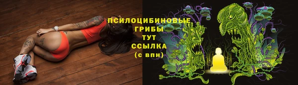 шишки Алексин