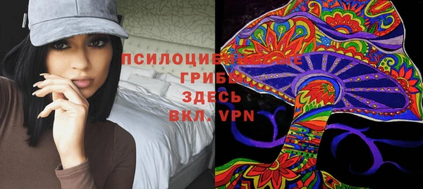 марки lsd Абаза
