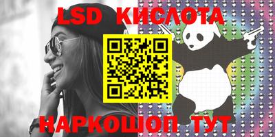 прущие крисы Гатчина