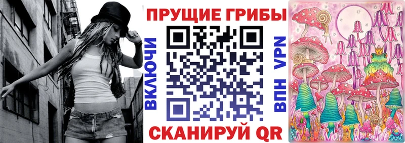 блэк спрут онион  купить   Карачаевск  Псилоцибиновые грибы Psilocybe 