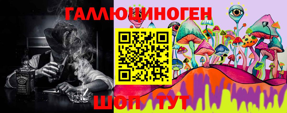 Карачаевск  Галлюциногенные грибы мицелий  Вход с VPN 