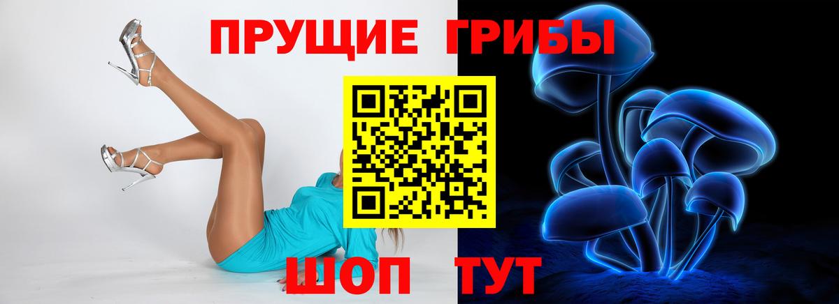 Галлюциногенные грибы GOLDEN TEACHER Карачаевск