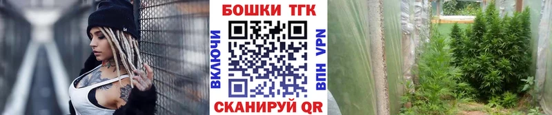Шишки марихуана VHQ Карачаевск