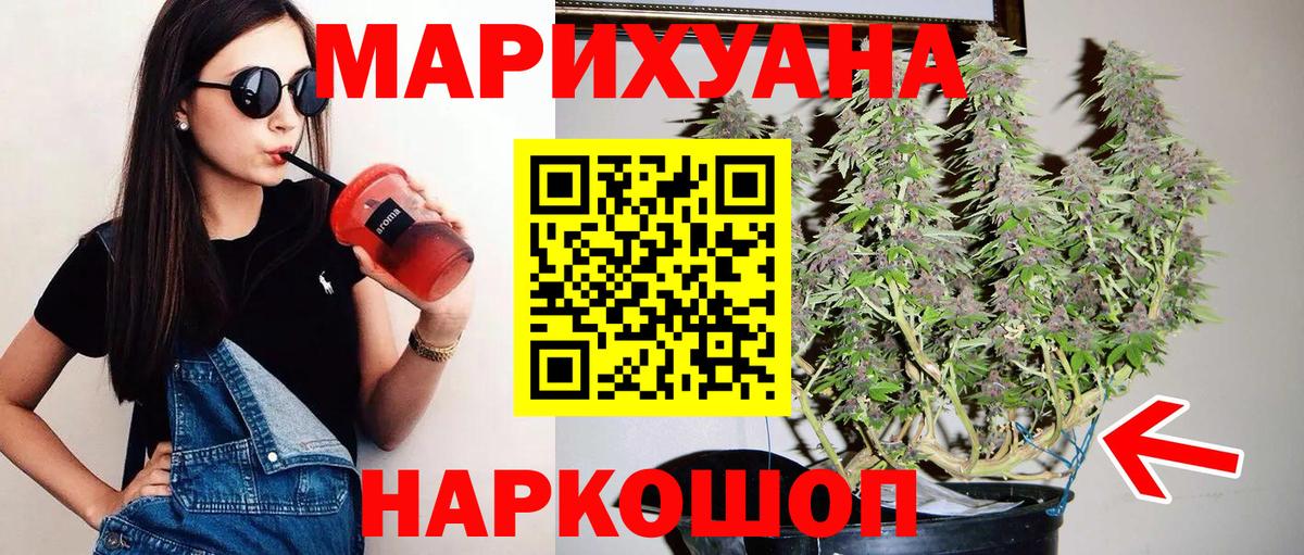 Каннабис конопля Карачаевск